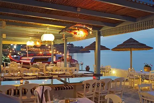 **** Hotel Delfini Beach Réthymnon Grèce
